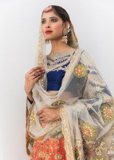 Ali Xheeshan Lehenga Choli Collection
