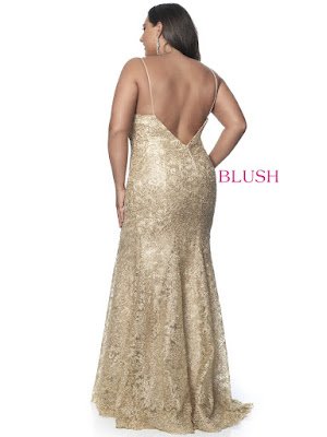 Sweetheart Blush Plus Size Prom Gold Color Dress back side