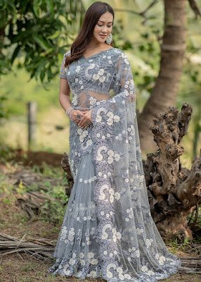 Grey Embroidered Net Heavy Border Saree indian party wear