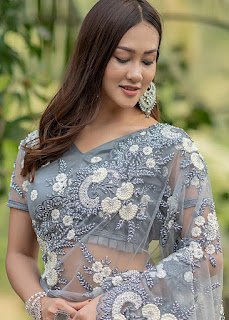 Grey Embroidered Net Heavy Border Saree indian party wear front design
