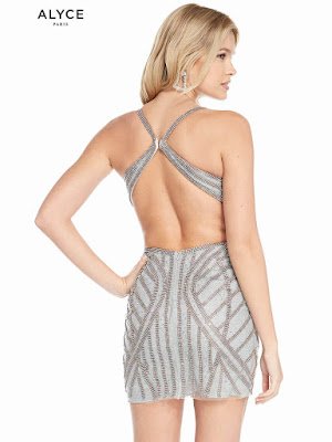 V-neck alyce Paris Short Dress Dark Silver Color Back side