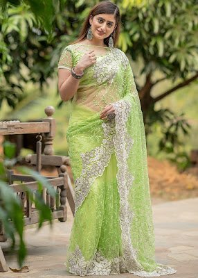 Green Heavy Border Embroidered Net Saree indian party dress