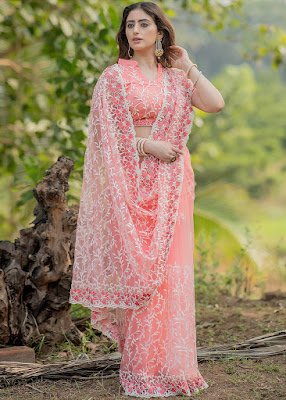 Peach Embroidered Heavy Border Saree With Blouse indian party wear