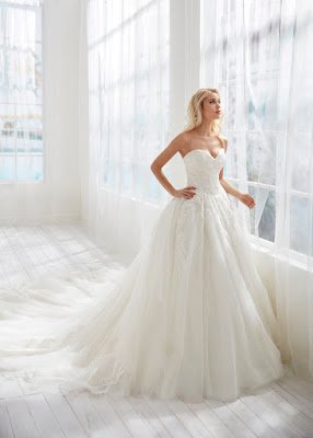 Randy Fenoli Strapless Ball Gown Tulle Bridal Dress