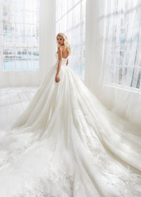 Randy Fenoli Strapless Ball Gown Tulle Bridal Dress back design