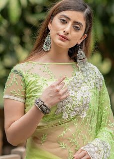 Green Heavy Border Embroidered Net Saree indian party dress