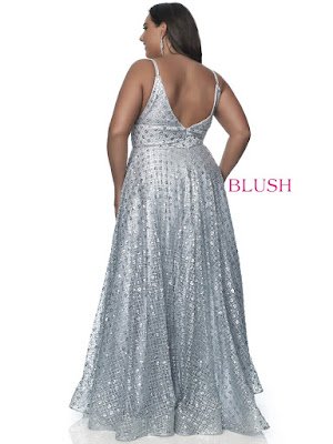 A-line Blush Prom Plus Size Silver Shadow Color Dress back side