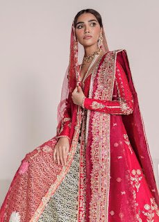 Ali Xheeshan Red Dridal dresses embroidered work