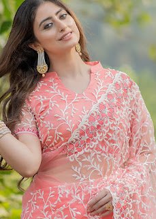 Peach Embroidered Heavy Border Saree With Blouse indian party wear front design